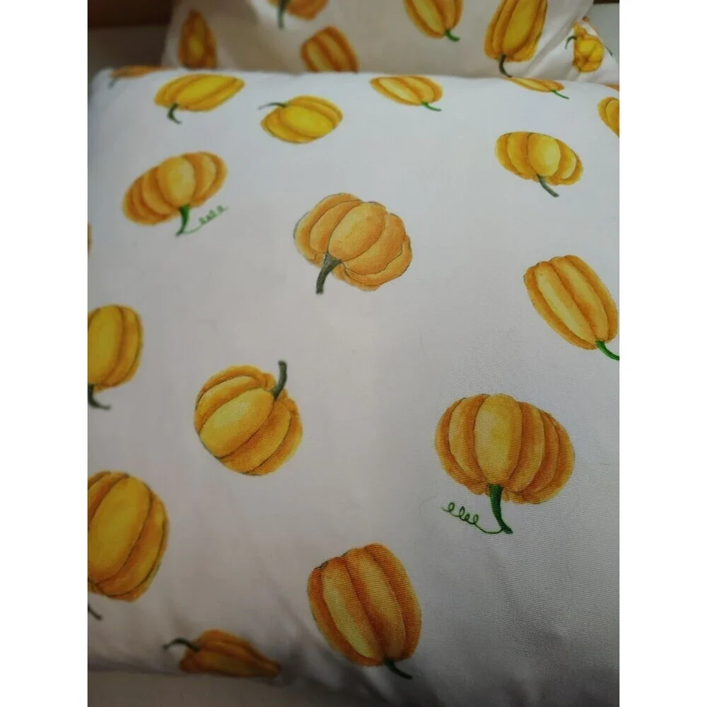 Rae Dunn Autumn Pumpkin Accent Pillows Feather Down Insert Removable Covers